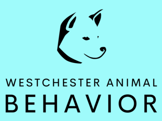 Westchester Animal Behavior